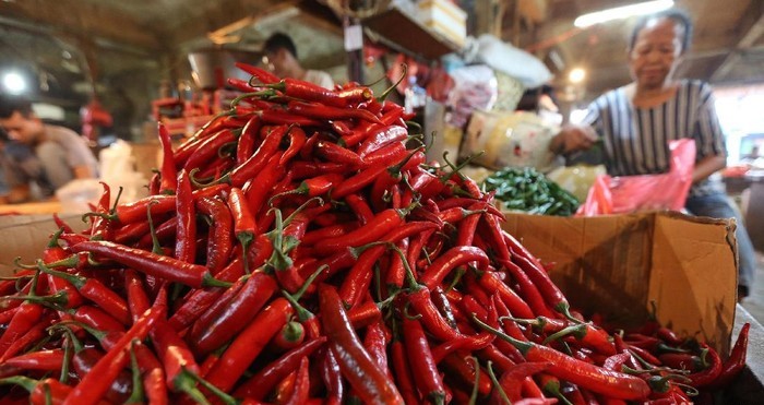 Stok Cabai Merah dan Rawit RI Kritis, Ini Biang Keroknya